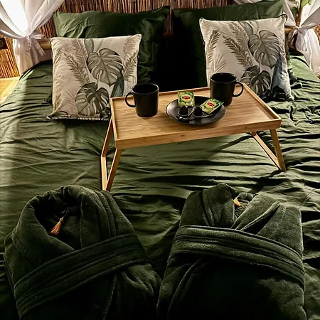 Jungle Love Room Toulouse Exterior photo